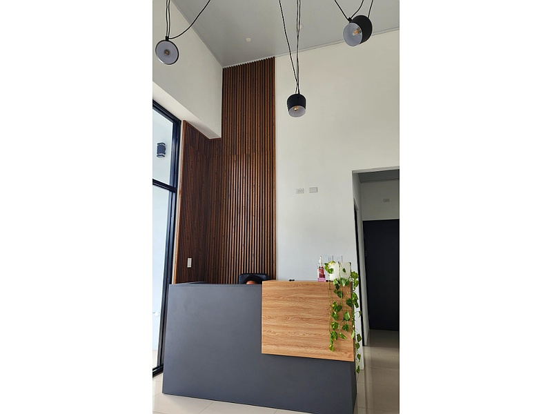 Diseño Interiores Limón LZ + M ARQ