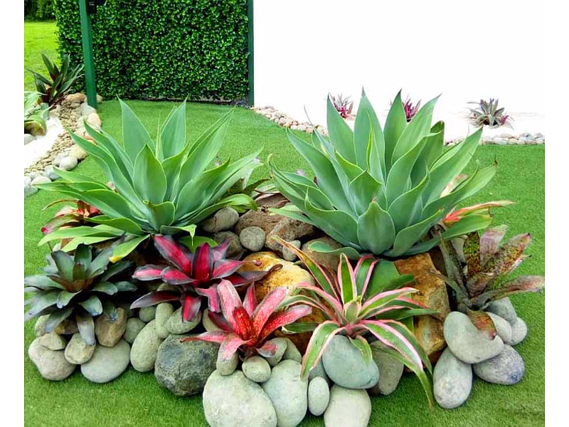 Paisajismo Cr8 Costa Rica 