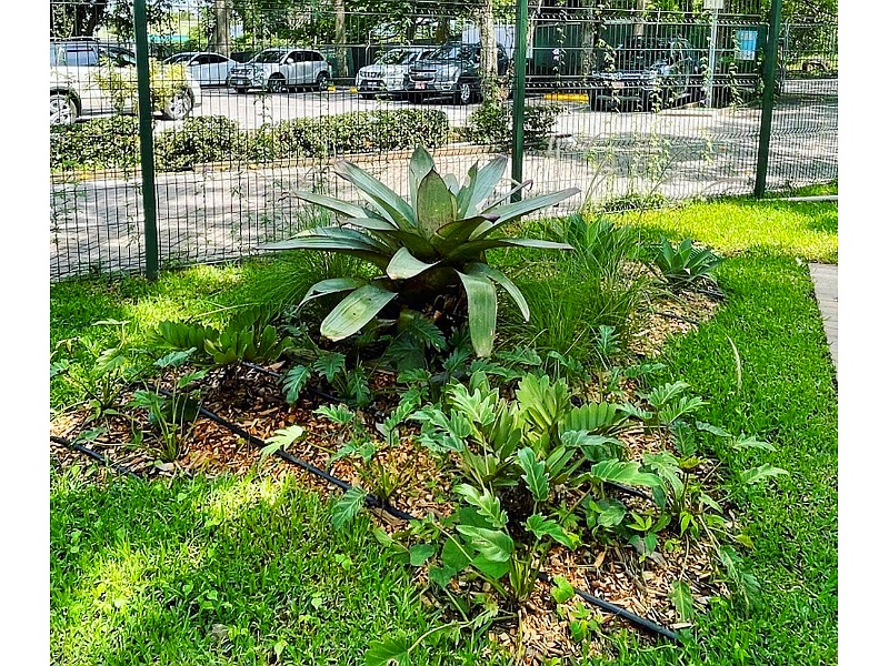 Paisajismo Tica8 Costa Rica 