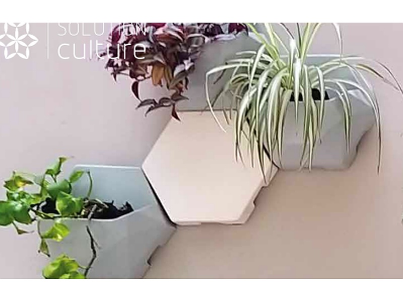 maceta decocultivo Costa Rica Solution Culture