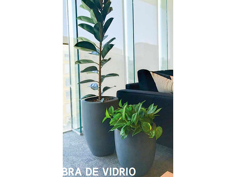maceta de fibra de vidrio Costa Rica Solution Culture