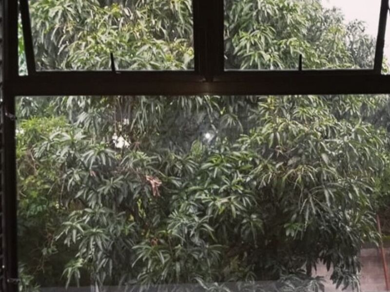 Ventana y paneles de cristal en Alajuela
