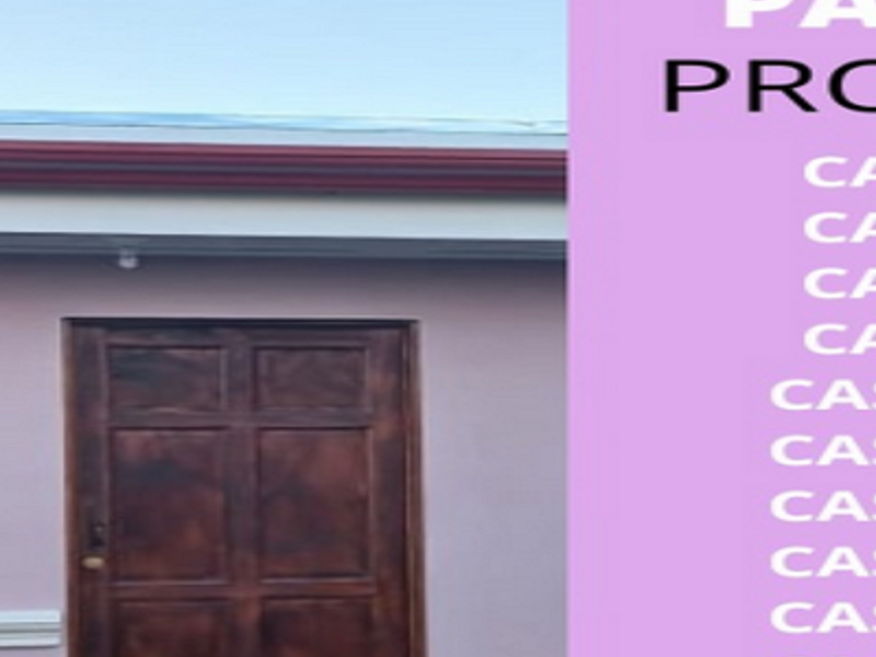 Pared lisa con zinc Alajuela 