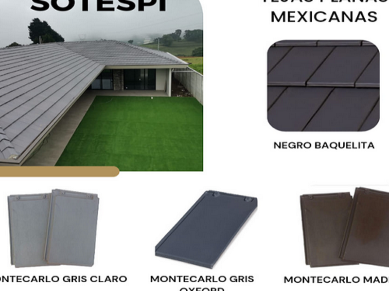 Teja plana Mexicana Costa Rica