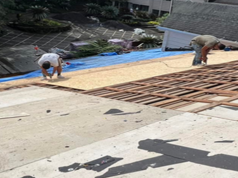 Felpa Roofer Cartago