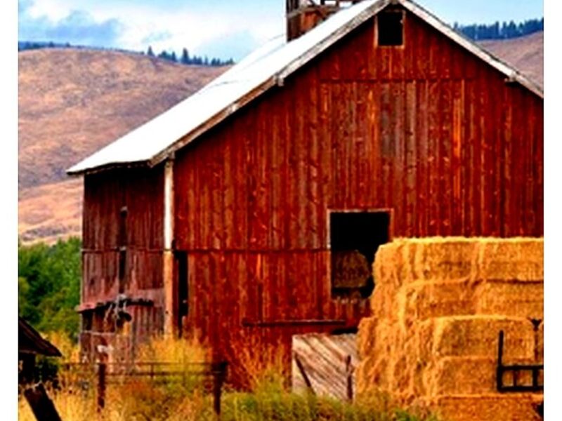 Barns Graneros San José