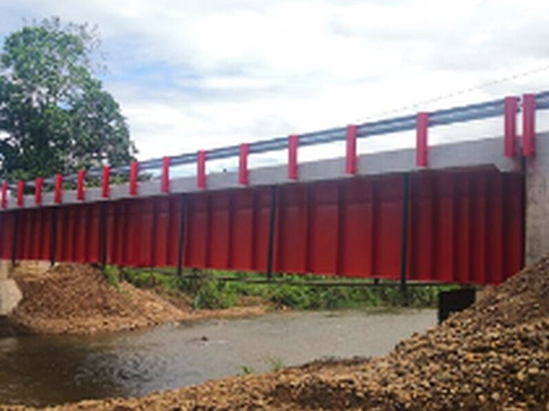 Puente Vehicular Costa Rica