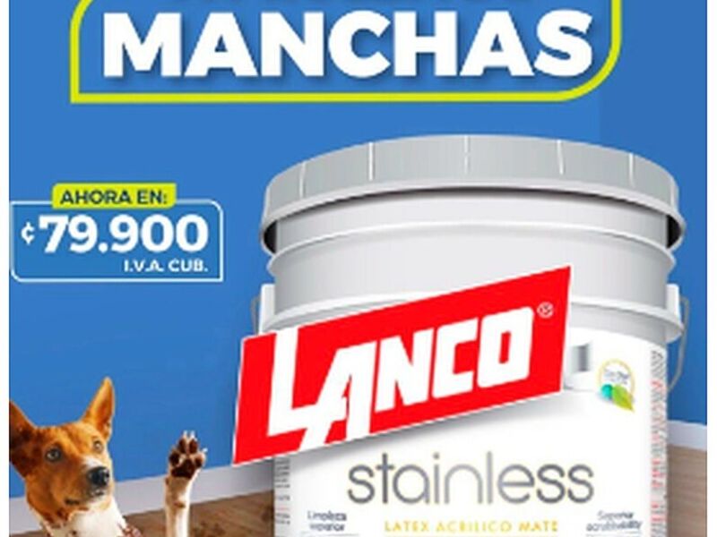 Pintura m6 San Antonio 
