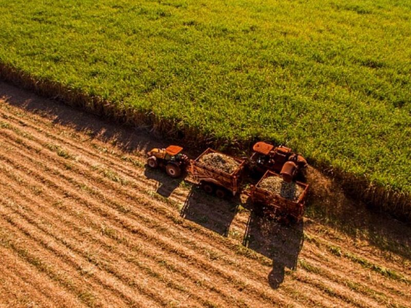 Soluciones Agrícolas San José