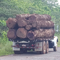 Compra Y Venta De Madera M. A