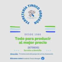 Ferretería Tinoco Obregon S.A