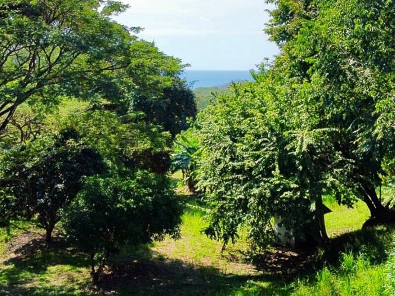 Venta Bienes Inmuebles Costa Rica