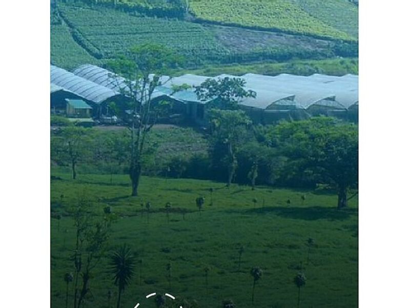Bienes Raíces Costa Rica