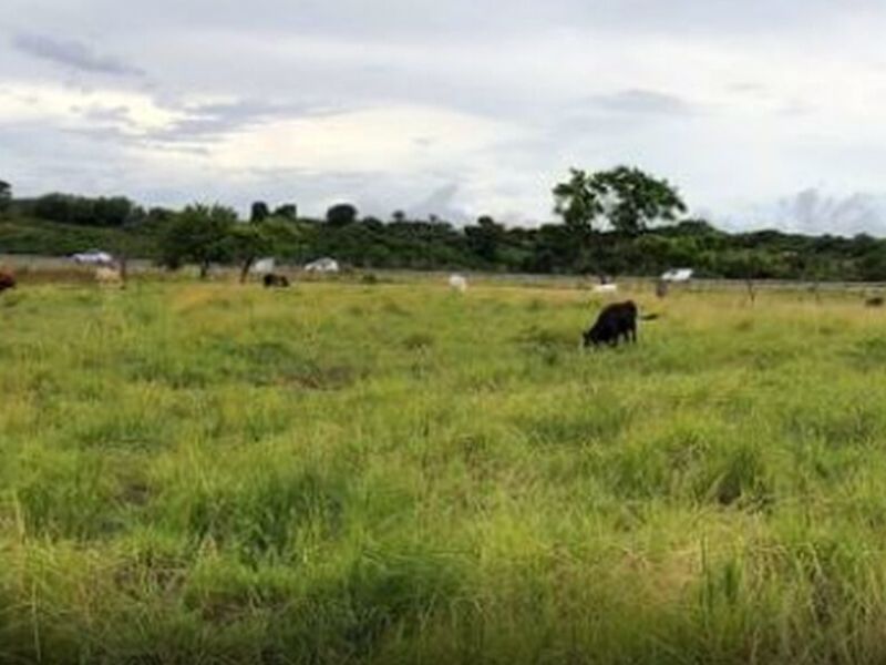 Renta Bienes Raíces Costa Rica