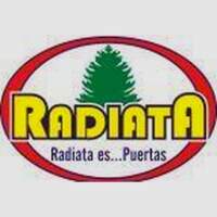 Radiapuertas Desamparados
