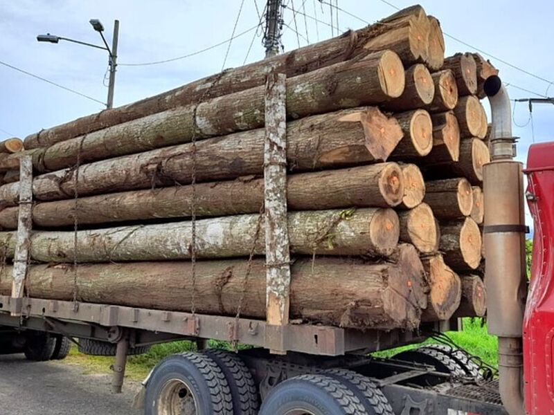 Madera Nativa Costa Rica