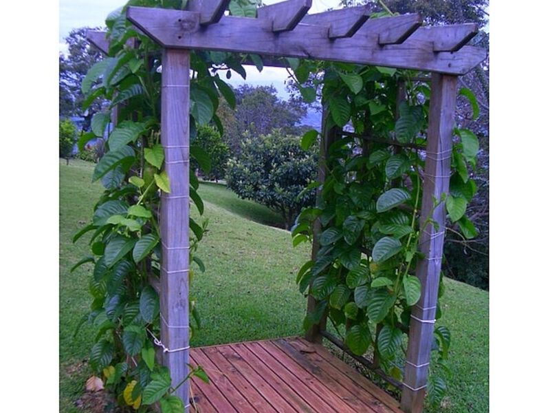 Decoración Jardin Costa Rica