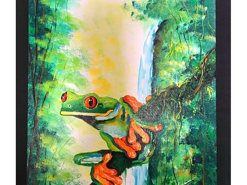 Cuadro Rana Verde Costa Rica