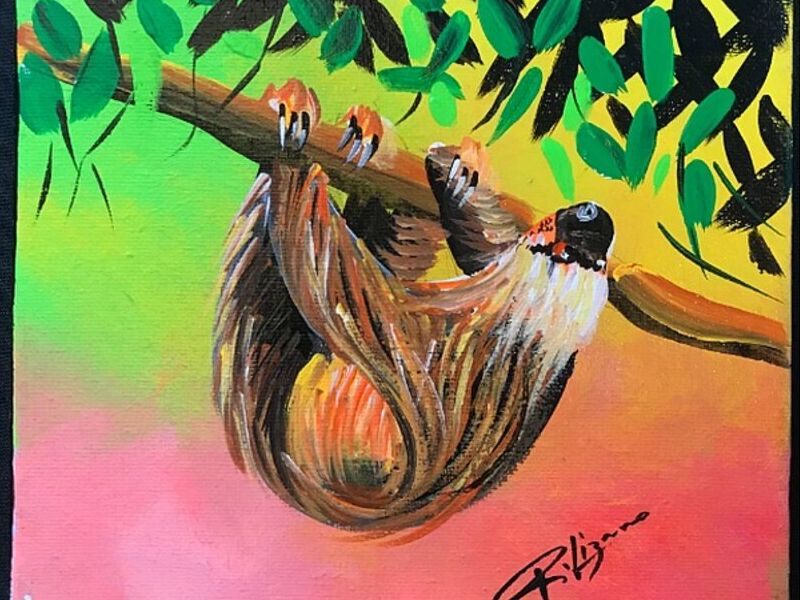 Cuadro Perezoso Costa Rica