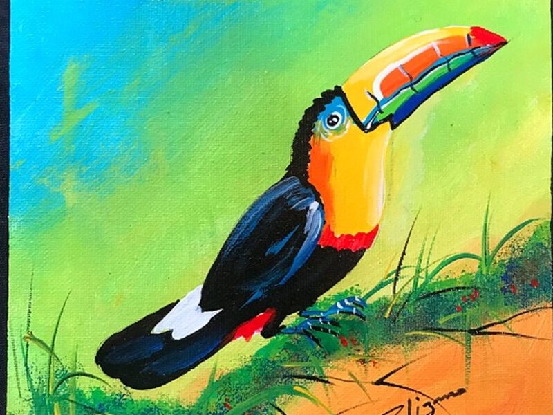 Cuadro Tucan Costa Rica
