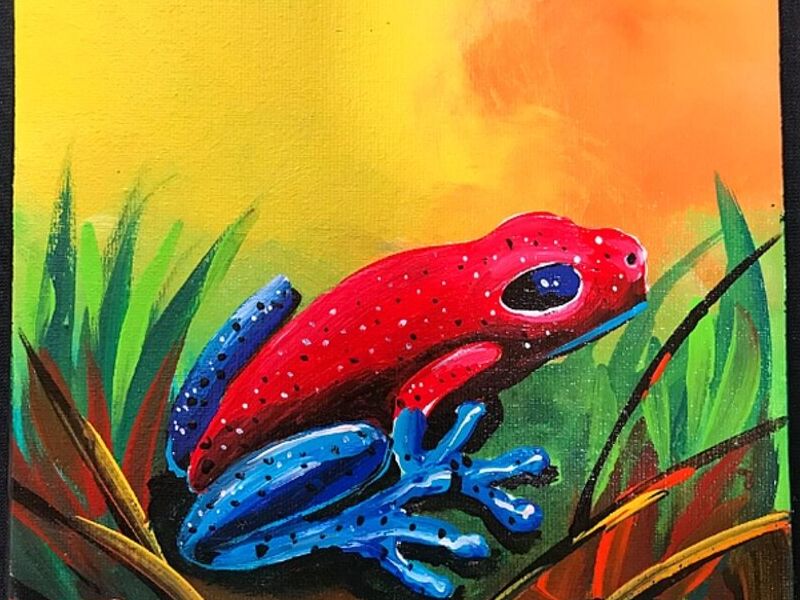 Cuadro Rana Roja Costa Rica