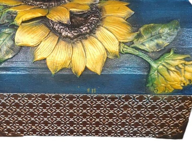 Caja Costa Rica