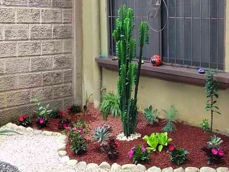 Diseño Jardines Costa Rica