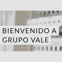 Grupo Vale