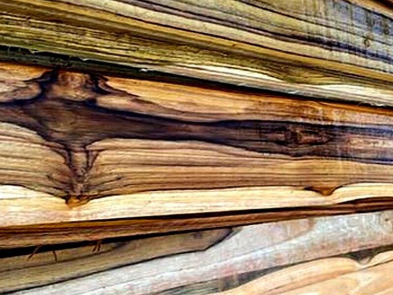 Madera fina Teca SAN JOSÉ 