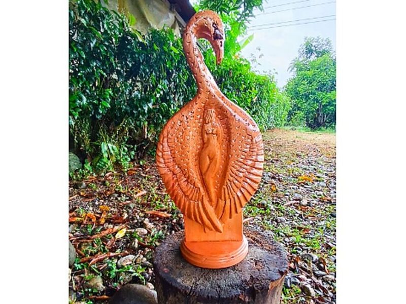Adorno Cisne Costa Rica