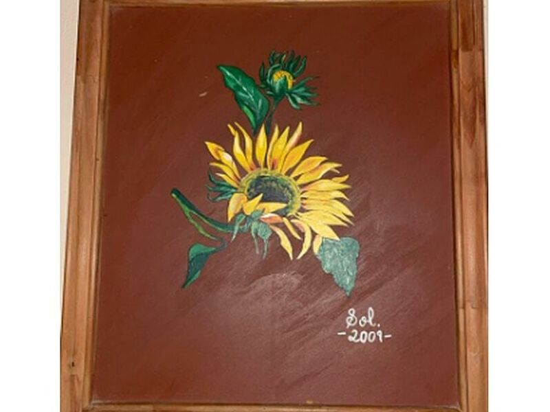 Cuadro Girasol Costa Rica