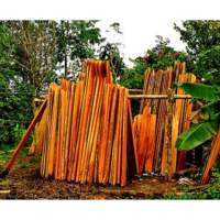 Maderas Wood is Good