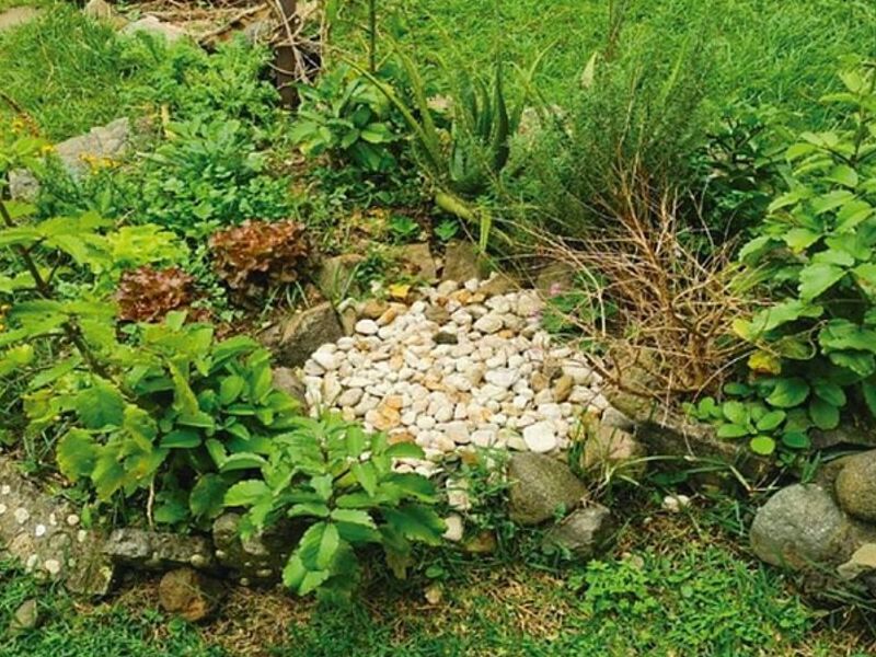 Diseño Jardines Costa Rica
