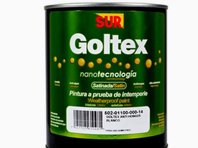 Goltex pintura antihongos GUANACASTE