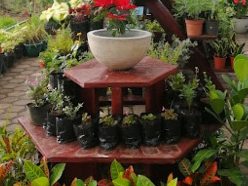 Jardines Urbanos Costa Rica