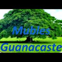 Muebles Guanacaste - Furniture