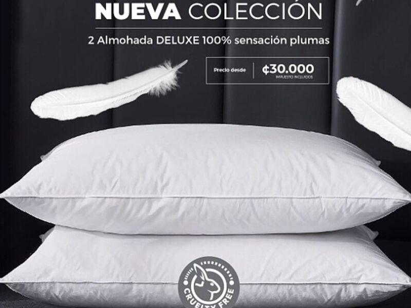 Almohadas Deluxe Costa Rica