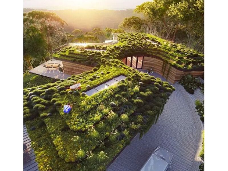 Diseño Arquitectónico Golfito