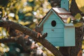 Casitas para Pájaros